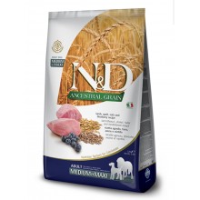 Farmina N&D Ancestral Grain Canine Adult Medium & Maxi - Lamb & Blueberry 2.5kg/5.5lb